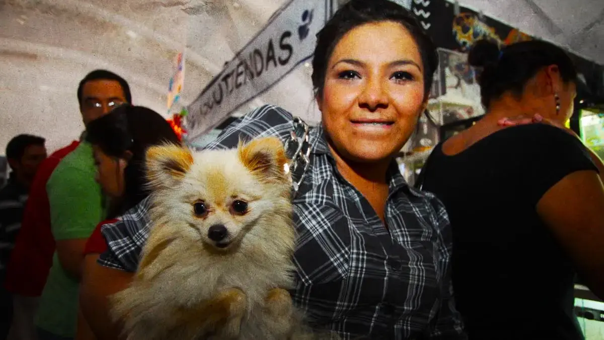 Acude a Expo Mascotas Puebla 2026; habrá concursos, adopciones y atención veterinaria gratis