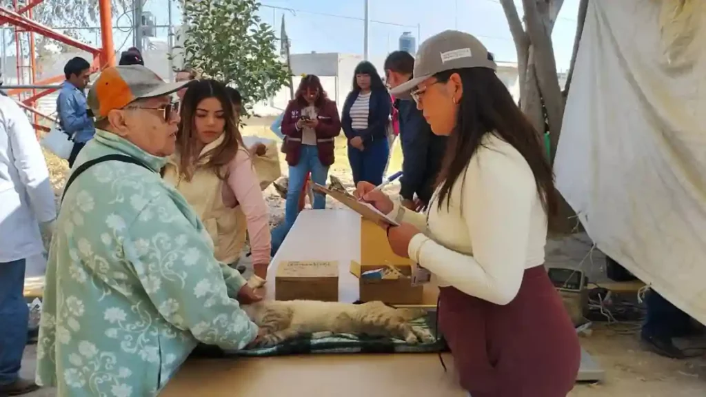 Fortalece Gobierno de Pepe Chedraui la mejora de servicios mediante verificaciones ciudadanas