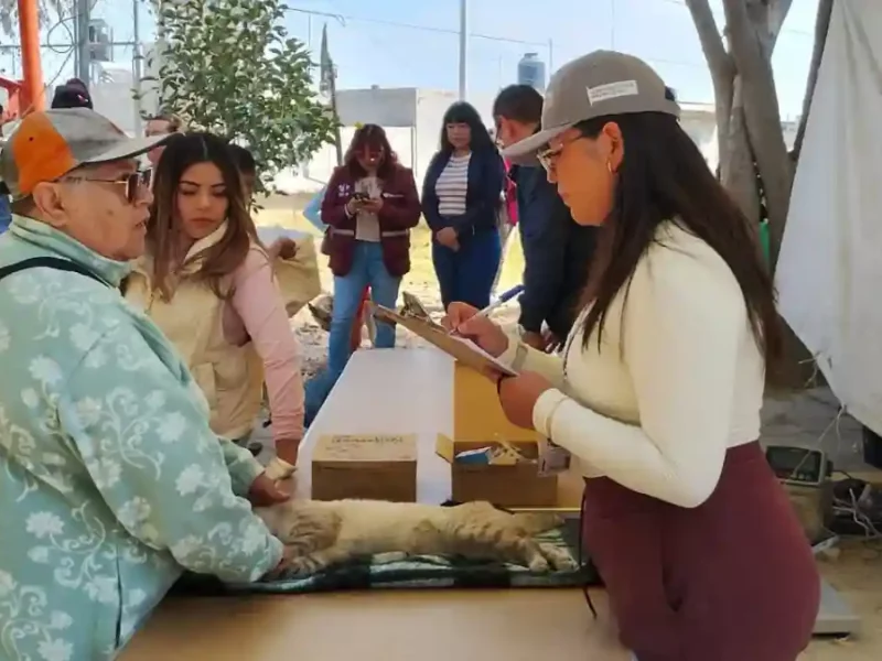 Fortalece Gobierno de Pepe Chedraui la mejora de servicios mediante verificaciones ciudadanas