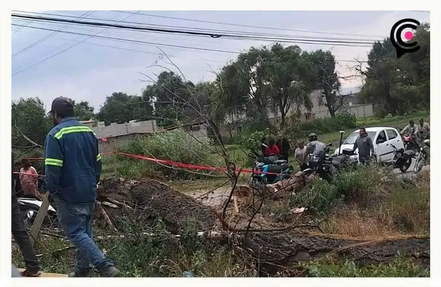 Adolescente y su hermana embarazada mueren aplastados por un árbol en Texmelucan, Puebla