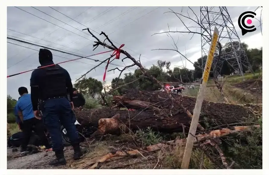 Adolescente y su hermana embarazada mueren aplastados por un árbol en Texmelucan, Puebla