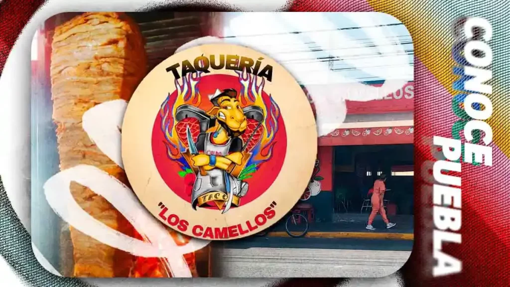 Taquería Los Camellos conquista la Guía Michelin 2026 tras creer que era una estafa