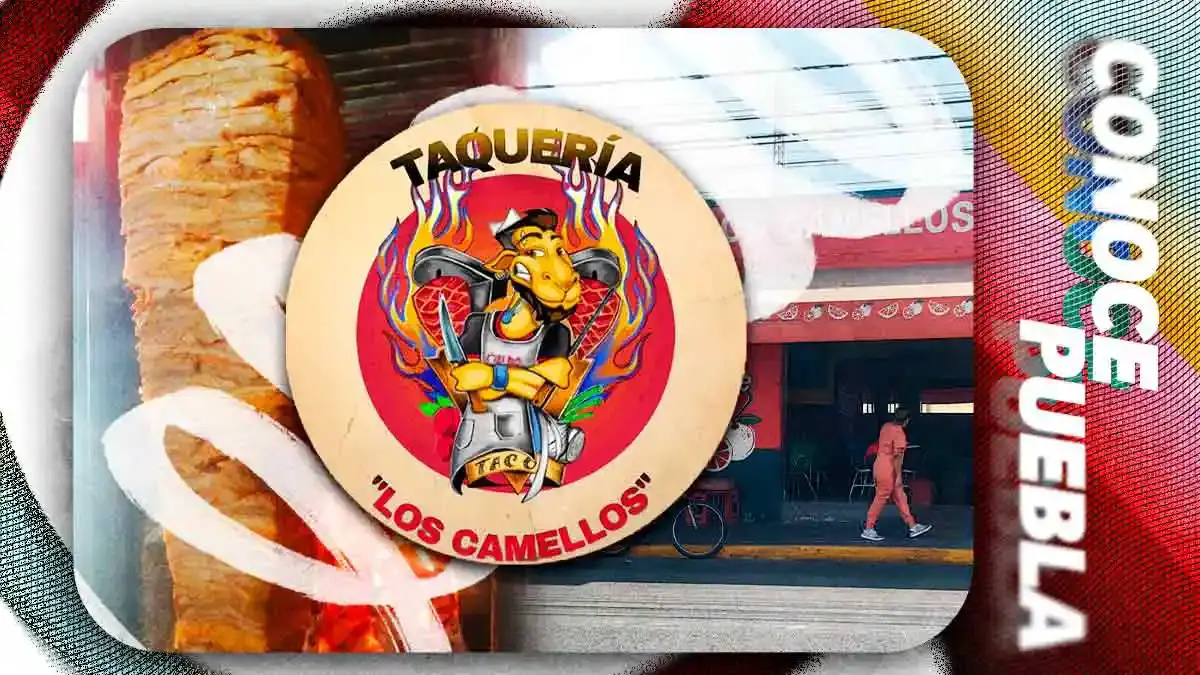 Taquería Los Camellos conquista la Guía Michelin 2026 tras creer que era una estafa