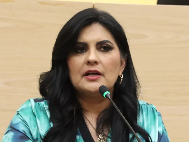 Diputada Delfina Pozos presenta iniciativa para fortalecer la transparencia, pluralidad y responsabilidad en la toma de decisiones