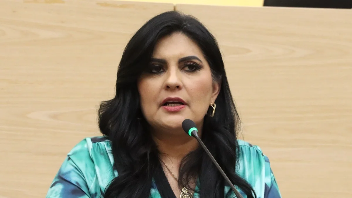 Diputada Delfina Pozos presenta iniciativa para fortalecer la transparencia, pluralidad y responsabilidad en la toma de decisiones