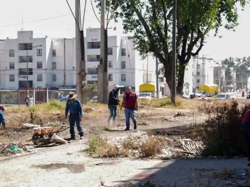 Refuerza Gobierno de Pepe Chedraui mantenimiento en bajo puentes de la capital