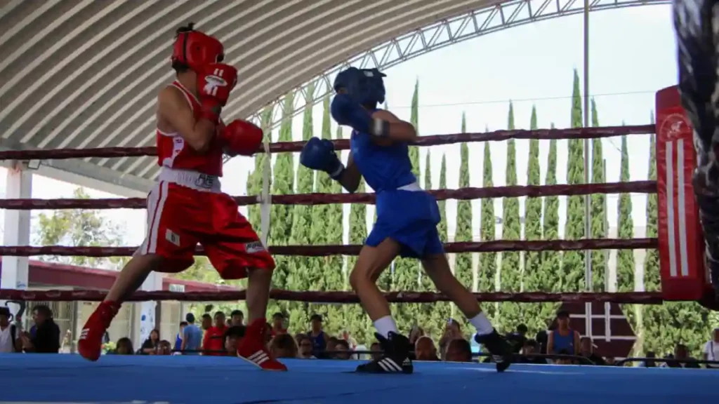 Gobierno de Pepe Chedraui desarrolla la sexta y séptima función del Torneo de Barrios de Box 2026