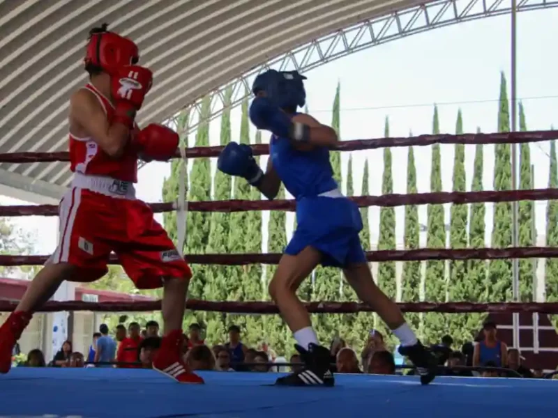 Gobierno de Pepe Chedraui desarrolla la sexta y séptima función del Torneo de Barrios de Box 2026