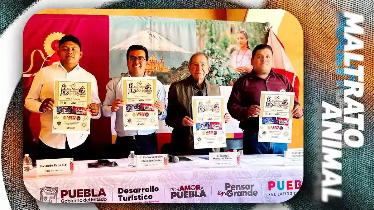 Pese a críticas de activistas, Feria de Acatzingo 2026 realizará el puerco encebado