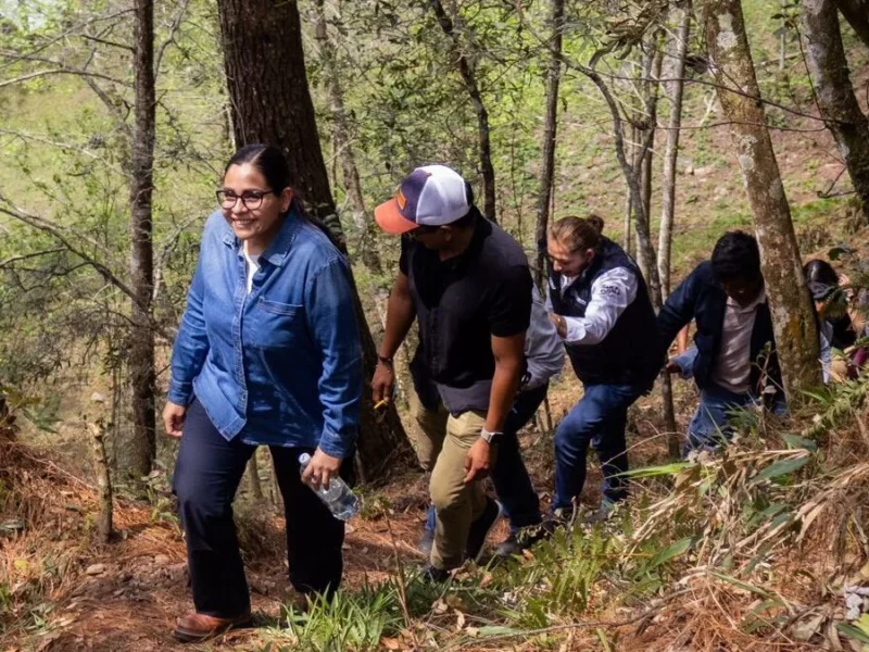 Diputada Guadalupe Vargas fortalece trabajo en equipo para impulsar el desarrollo de la Sierra Norte