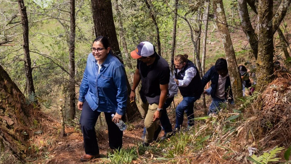 Diputada Guadalupe Vargas fortalece trabajo en equipo para impulsar el desarrollo de la Sierra Norte