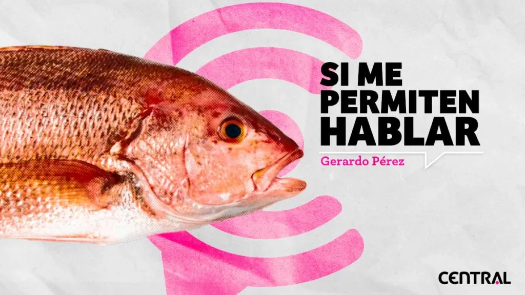 Si me permiten hablar
