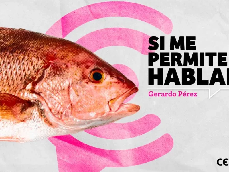 Si me permiten hablar