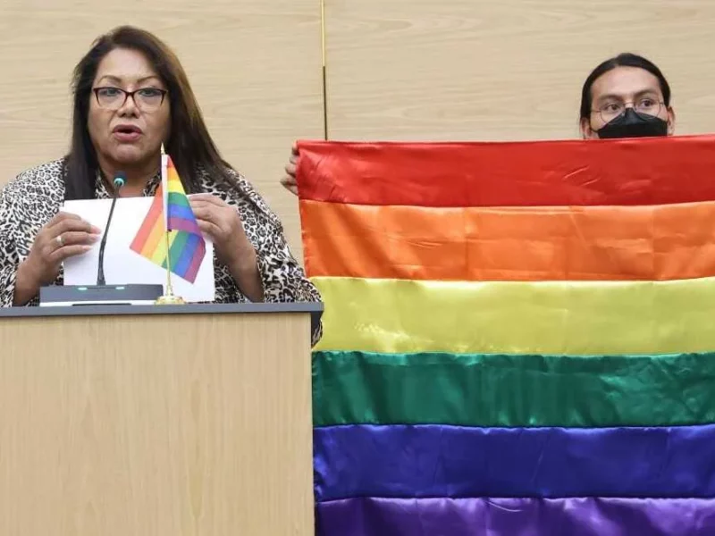 Trabaja la diputada Gabriela Chumacero por la inclusión de las personas de la diversidad sexual