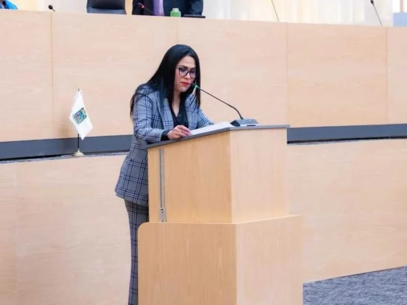 Propone la diputada Fedrha Suriano crear el Registro Estatal de Obligaciones Alimentarias