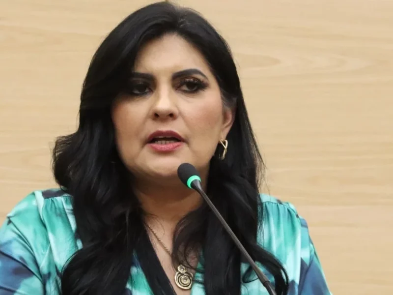 Plantea la diputada Delfina Pozos ajuste a reformas sobre el delito de despojo