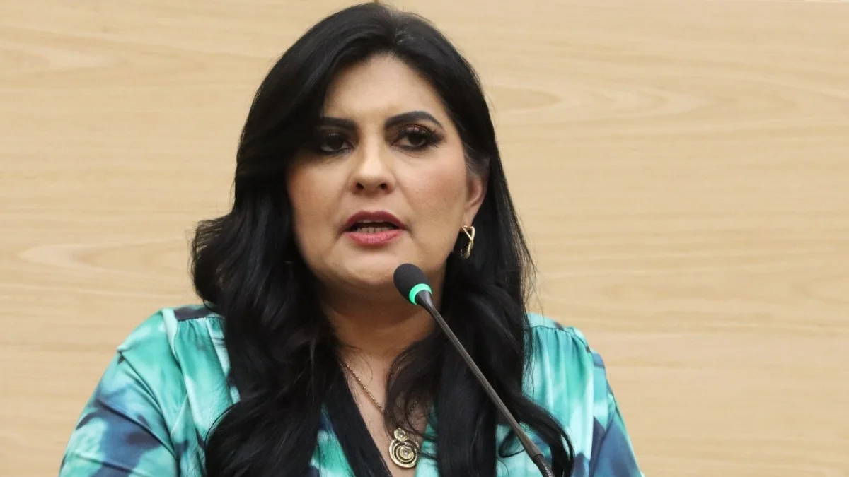 Plantea la diputada Delfina Pozos ajuste a reformas sobre el delito de despojo