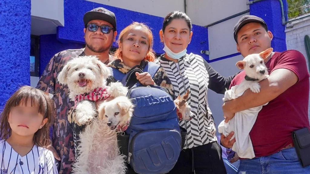 Impulsa la diputada Ana Tepole acciones en favor del bienestar animal en Tehuacán 