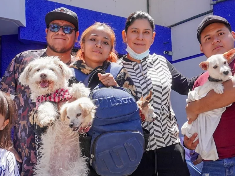 Impulsa la diputada Ana Tepole acciones en favor del bienestar animal en Tehuacán 