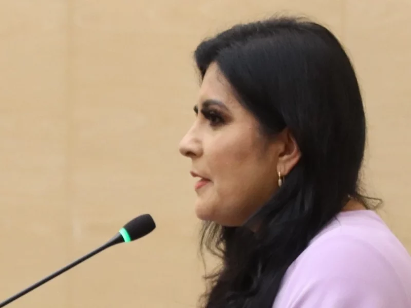 Diputada Delfina Pozos llama a fortalecer la representación ciudadana y el equilibrio democrático