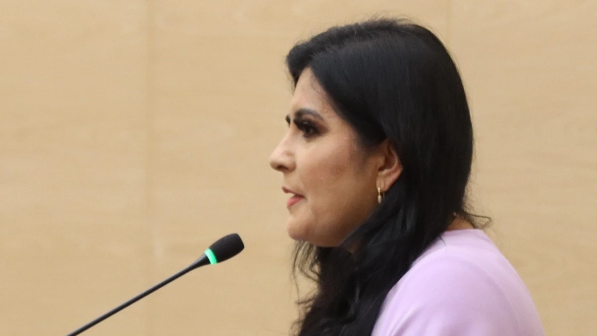 Diputada Delfina Pozos llama a fortalecer la representación ciudadana y el equilibrio democrático