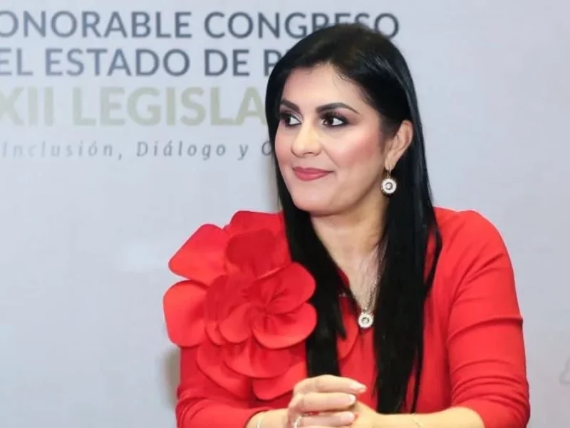 Delfina Pozos propone fortalecer la participación ciudadana en seguridad pública