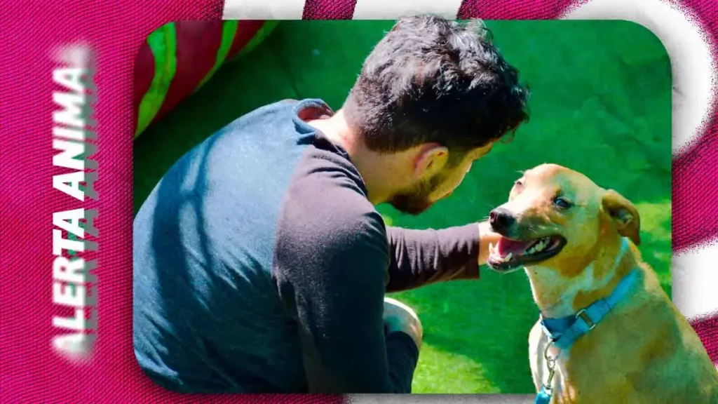 Fiscalía de Puebla reconoce a Caeto BUAP por su labor en favor del bienestar animal 