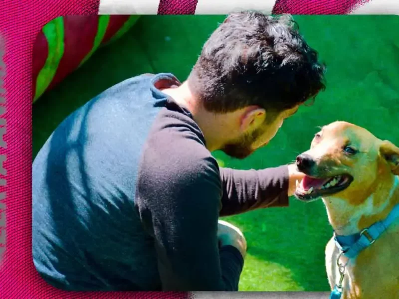 Fiscalía de Puebla reconoce a Caeto BUAP por su labor en favor del bienestar animal 
