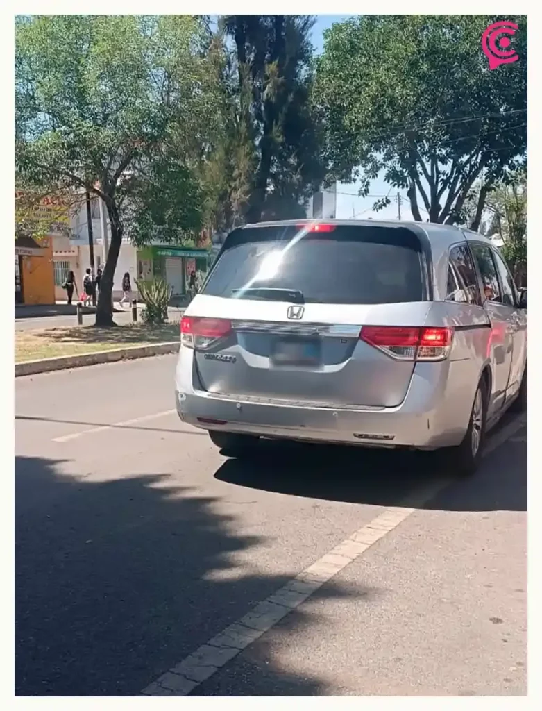 Conductor atropelló y mató a perrita en Puebla