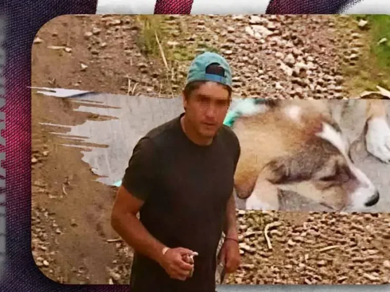 Abandonan a cachorrita frente a refugio en Puebla; rescatistas buscan al responsable
