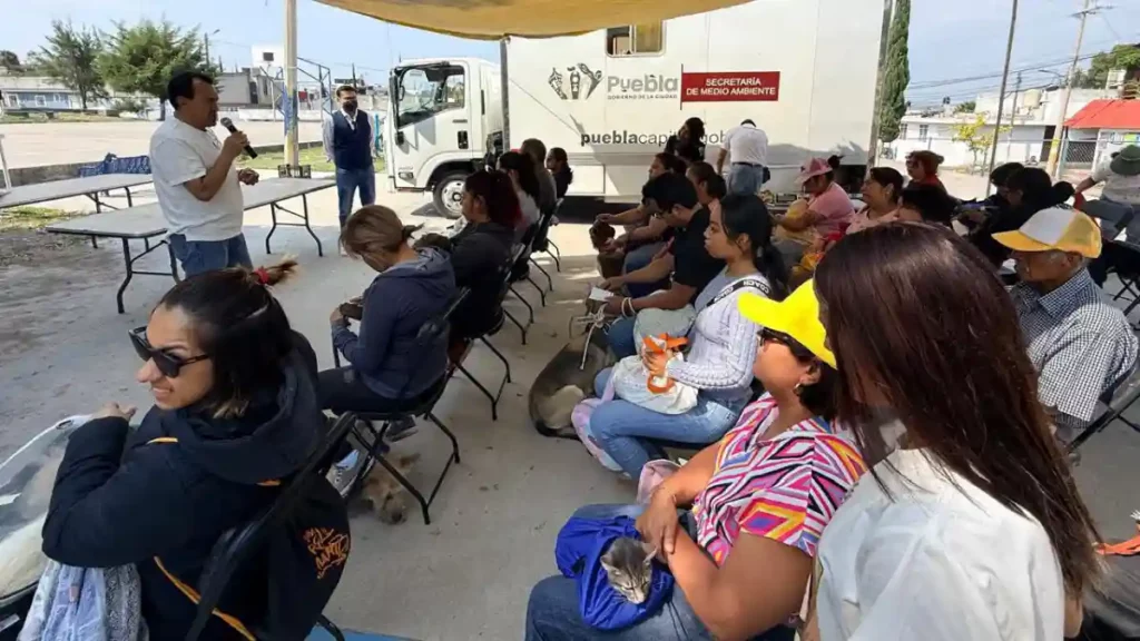 Gobierno de Pepe Chedraui fortalece el bienestar animal con jornadas de atención en cinco colonias de Puebla