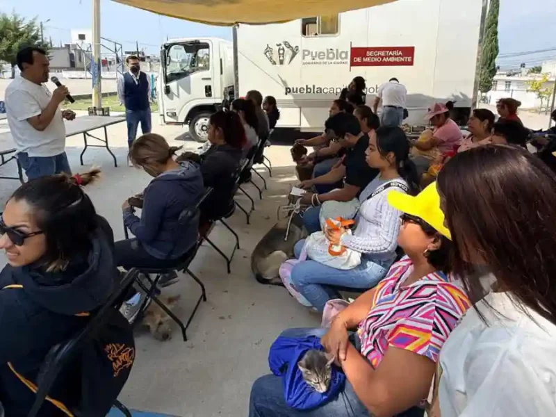 Gobierno de Pepe Chedraui fortalece el bienestar animal con jornadas de atención en cinco colonias de Puebla