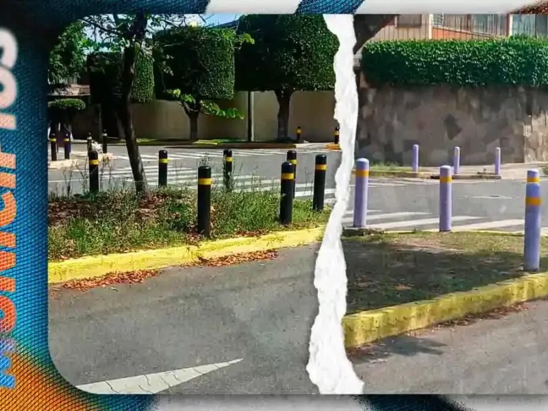 Secretaría de Movilidad descarta proyecto para pintar de color morado bolardos de Puebla capital