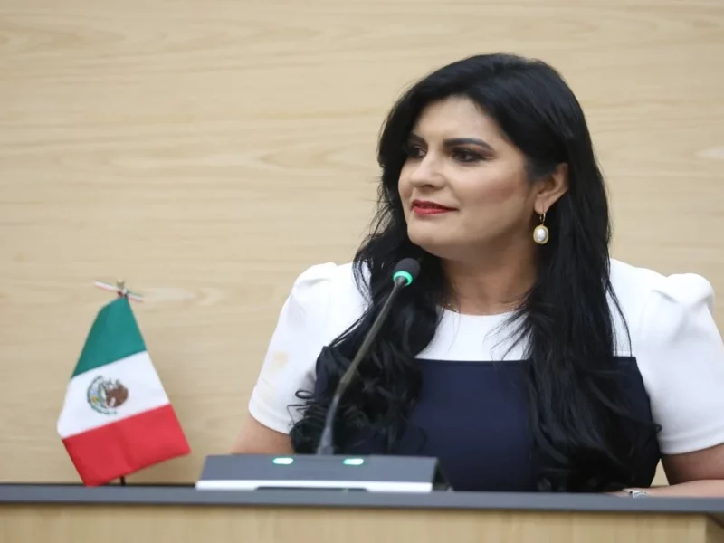 Delfina Pozos presenta iniciativa para garantizar servicios de salud en emergencias médicas