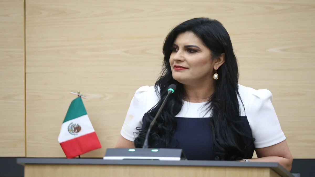 Delfina Pozos presenta iniciativa para garantizar servicios de salud en emergencias médicas