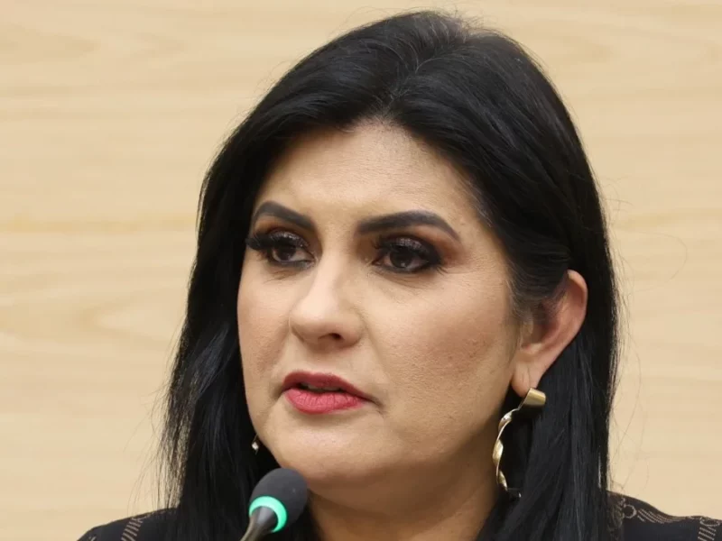 Delfina Pozos pide reforzar medidas para cuidar a niñas y niños ante el aumento de temperaturas