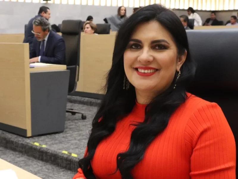 Delfina Pozos promueve revisión por posible vulneración al principio de incompatibilidad