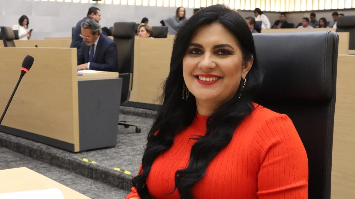 Delfina Pozos promueve revisión por posible vulneración al principio de incompatibilidad