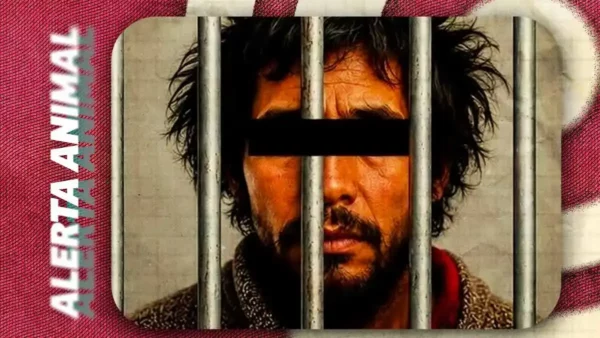 “El Colamochas” es declarado culpable por agredir a “Huesitos” en Miahuatlán, Puebla; perrito murió tras ataque