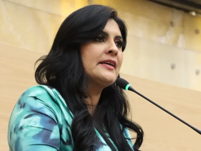 Presenta Delfina Pozos exhorto para esclarecer posibles actos de promoción anticipada