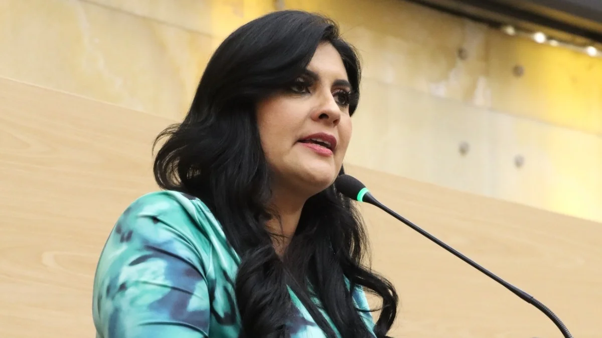 Presenta Delfina Pozos exhorto para esclarecer posibles actos de promoción anticipada