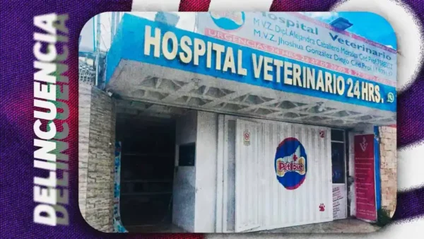 Asaltan veterinaria en San Manuel, Puebla; golpean a trabajadores y los encierran con un niño