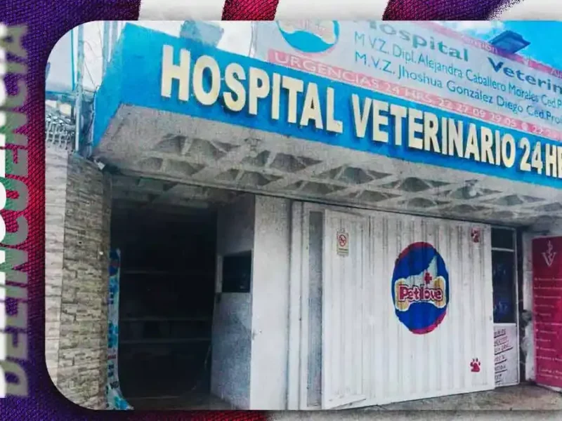 Asaltan veterinaria en San Manuel, Puebla; golpean a trabajadores y los encierran con un niño