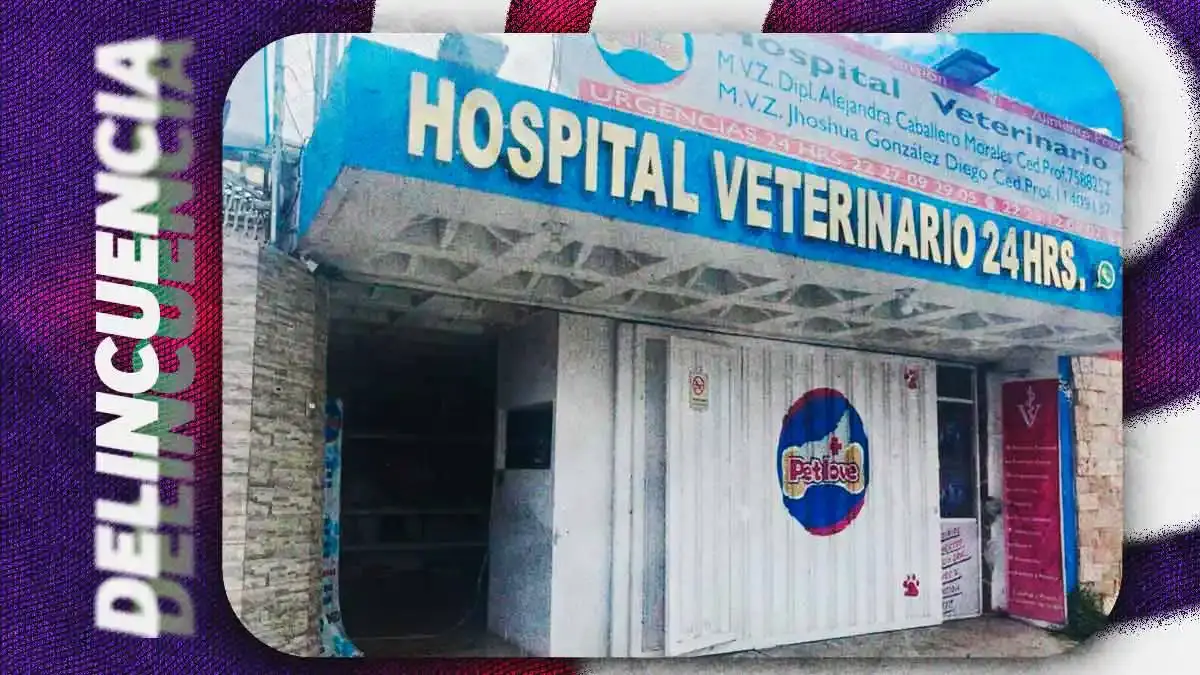 Asaltan veterinaria en San Manuel, Puebla; golpean a trabajadores y los encierran con un niño