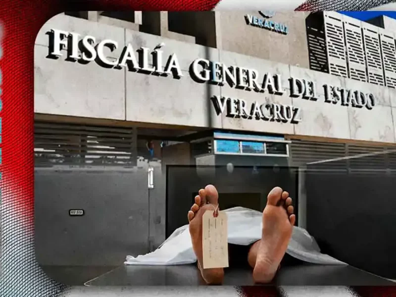 Veracruz abre portal para identificación de cuerpos de personas bajo resguardo; identifican cuatro poblanos