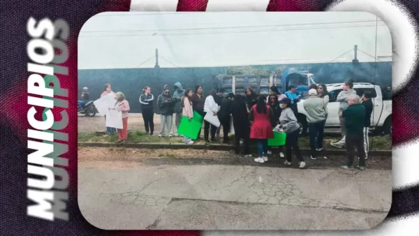 Colectivo culpa al Ayuntamiento de Puebla por tala y ecocidio en Bosques de San Sebastián