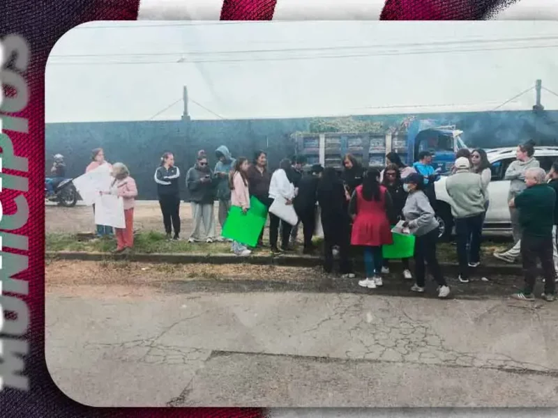 Colectivo culpa al Ayuntamiento de Puebla por tala y ecocidio en Bosques de San Sebastián