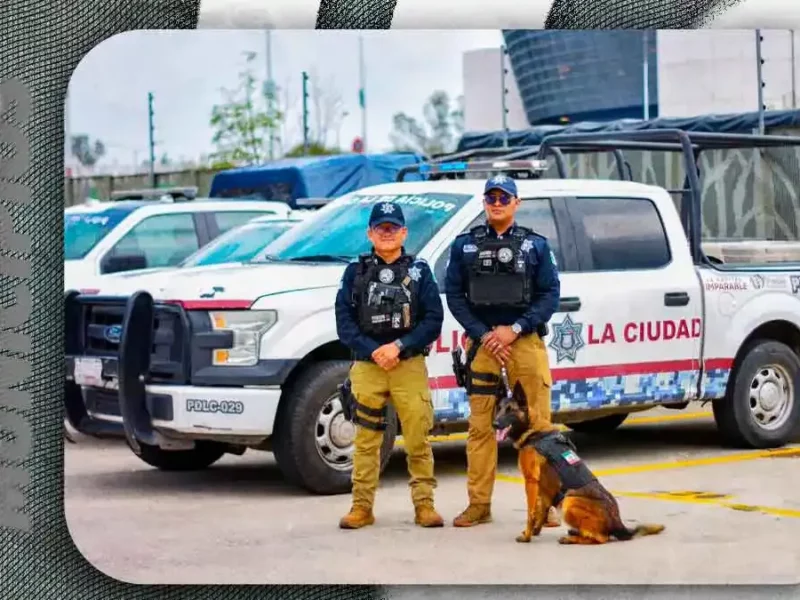 Autoridades locales y federales montan Operativo Puebla Segura en Mercado Morelos y otros focos rojos