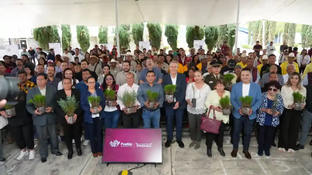 Avanza Pepe Chedraui en la recuperación de áreas verdes con “Raíces del Futuro”