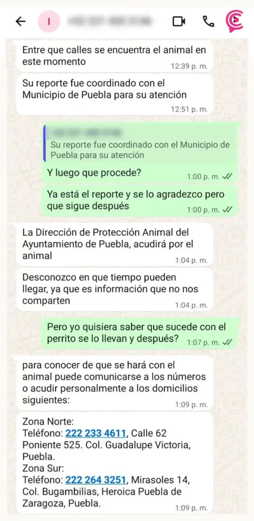 Acusan a Bienestar Animal de Puebla de ignorar reportes de maltrato